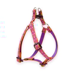 Lupine Pet Original Designs Multicolor Alpen Glow Nylon Dog Harness