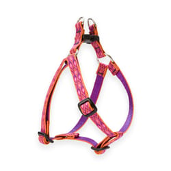 Lupine Pet Original Designs Multicolor Alpen Glow Nylon Dog Harness