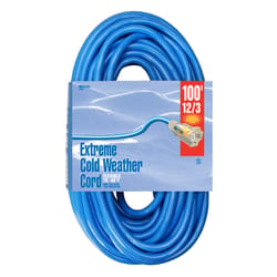 Woods Indoor or Outdoor 100 ft. L Blue Extension Cord 12/3