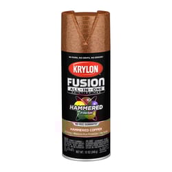 Krylon Fusion All-In-One Hammered Copper Paint+Primer Spray Paint 12 oz
