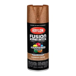 Krylon Fusion All-In-One Hammered Copper Paint+Primer Spray Paint 12 oz