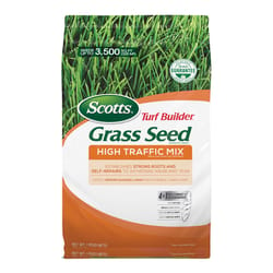 Scotts Grass Seed - Ace Hardware