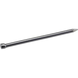 HILLMAN 8D 2-1/2 in. Finishing Bright Steel Nail Brad Head