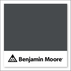 Benjamin Moore Raccoon Fur 2126-20