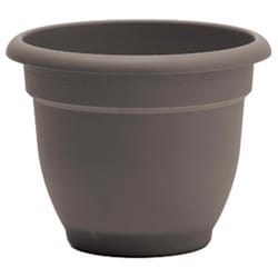 Bloem Ariana 7 in. H X 8.75 in. W X 8 in. D Plastic Traditional Planter Peppercorn