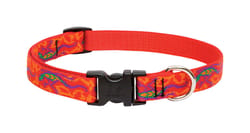 LupinePet Original Designs Multicolor Go Go Gecko Nylon Dog Adjustable Collar