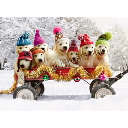 Avanti Christmas Puppies in Wagon Greeting Card Paper 4 pc