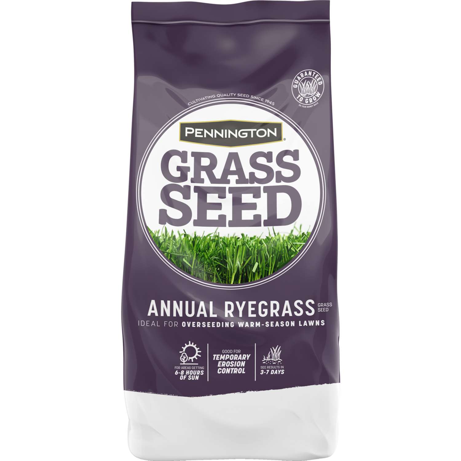 Pennington Seed Annual Ryegrass Full Sun/Light Shade Grass Seed 25 lb