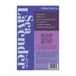 Chive Shido Seed Co. Lavender Seeds 1 pk