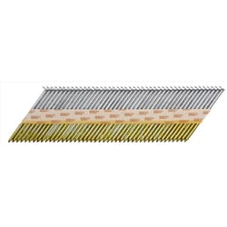 Senco 2-3/8 in. L Angled Strip Hot-Dip Galvanized Framing Nails 2500 pk