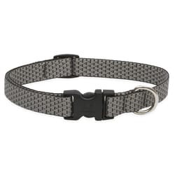 Lupine Pet Eco Granite Granite Recycled Plastic Dog Adjustable Collar