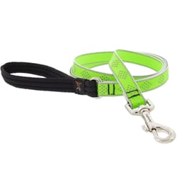 LupinePet Reflective Green Daimond Nylon Dog Leash