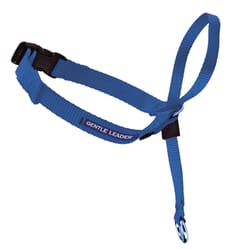 PetSafe Gentle Leader Blue Nylon Dog Training Leash Large