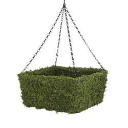 SuperMoss MossWeave 8 in. H X 15 in. W X 15 in. D Wire Hanging Basket Green