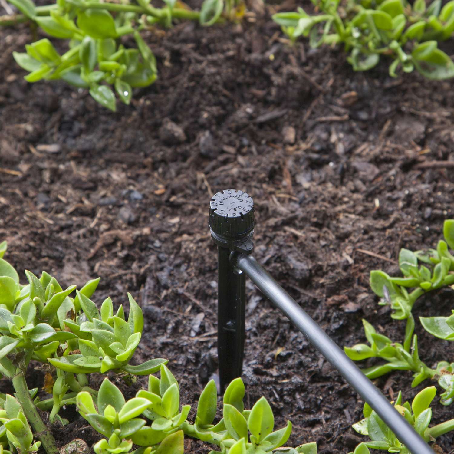 Raindrip Drip Irrigation Bubbler Ace Hardware