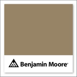 Benjamin Moore Free Spirit 245