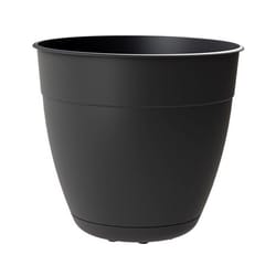 Bloem Dayton 5.75 in. H X 6 in. D X 6 in. D Plastic Planter Black