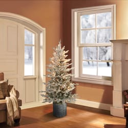 Puleo International 4-1/2 ft. Slim Incandescent 70 ct Potted Flocked Arctic Fir Christmas Tree