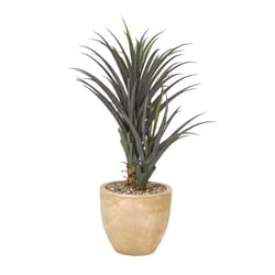 DW Silks 58 in. H X 27 in. L Polyester Succulent Plant in Tan Planter