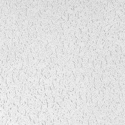 USG 280 Fifth Avenue 48 in. L X 24 in. W 0.625 in. Square Edge Ceiling Tile 1 pk