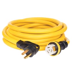 Champion 10/3 SJTW 125/250 V 30 ft. L Generator Cord