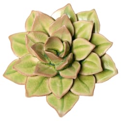 Chive English Garden 2.4 in. H X 4.7 in. L Glazed Green Ceramic Medium Succulent Wall Flower