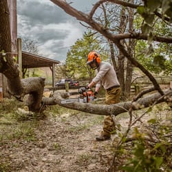 A little storm cleanup with Stihl ms170 : r/Chainsaw