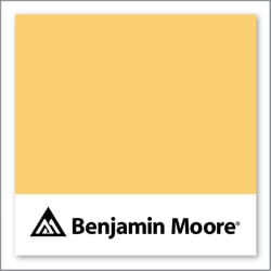 Benjamin Moore Golden Groves 313