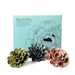 Chive Ceramic Flowers 2.9 in. H X 8.8 in. W X 9.9 in. L Glazed Assorted Ceramic Blomma Box Set