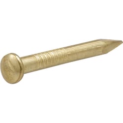 HILLMAN OOK Brass-Plated Hardwall Picture Hanging Nails 10 lb 10 pk