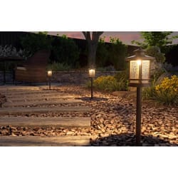 Nebo LED Espresso All-Weather Metal 500 Lm. Low Voltage Landscape Spot Light  - Wagner Hardware