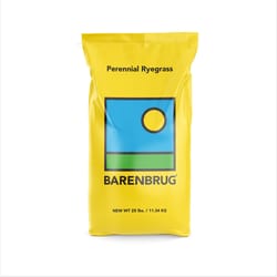 Barenbrug Perennial Ryegrass Full Sun Grass Seed 25 lb