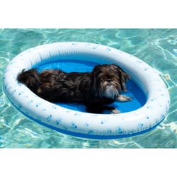 PoolCandy Blue PVC Inflatable Pet Float