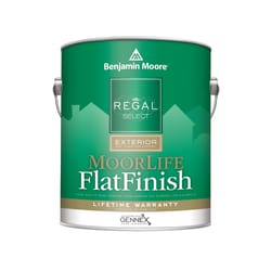 Benjamin Moore Regal Select Flat Tintable Base Base 2 Paint Exterior 1 gal