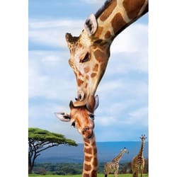 Eurographics Giraffes Jigsaw Puzzle Multicolored 250 pc