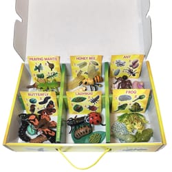 Insect Lore Bugs and Frogs Life Cycle Figurines Multicolored 24 pc