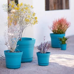 Bloem Saturn 4.5 in. H X 5 in. W Resin Traditional Planter Bermuda Teal