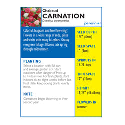 Lake Valley Seed Flower Seeds