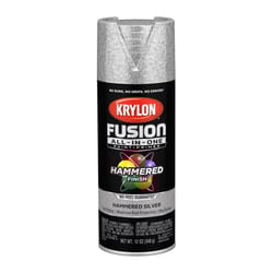 Krylon Fusion All-In-One Hammered Silver Paint+Primer Spray Paint 12 oz