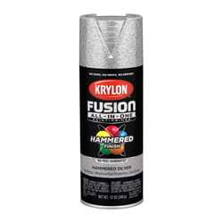 Krylon Fusion All-In-One Hammered Silver Paint+Primer Spray Paint 12 oz