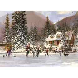 Cobble Hill Hockey Pond Tray Puzzle Multicolored 35 pc