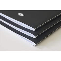 Denik 5 in. W X 8 in. L Sewn Bound Black Ameya's Realm Skinny Notebook