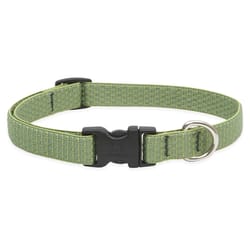 Lupine Pet Eco Moss Moss Recycled Plastic Dog Adjustable Collar