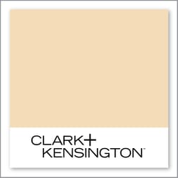 Clark+Kensington Luminaria 18B-2