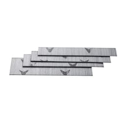 Senco Variety in. Assorted Galvanized Steel Nail Flat Head