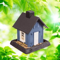 North States Blue Cottage Wild Bird 5 lb Plastic Hopper Bird Feeder 4 ports