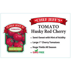 Chef Jeff Red Standard Husky Cherry Tomato Vegetable Plant