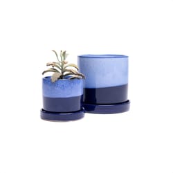 Chive Minute 3 in. D Ceramic Succulent Pot Cobalt Blue