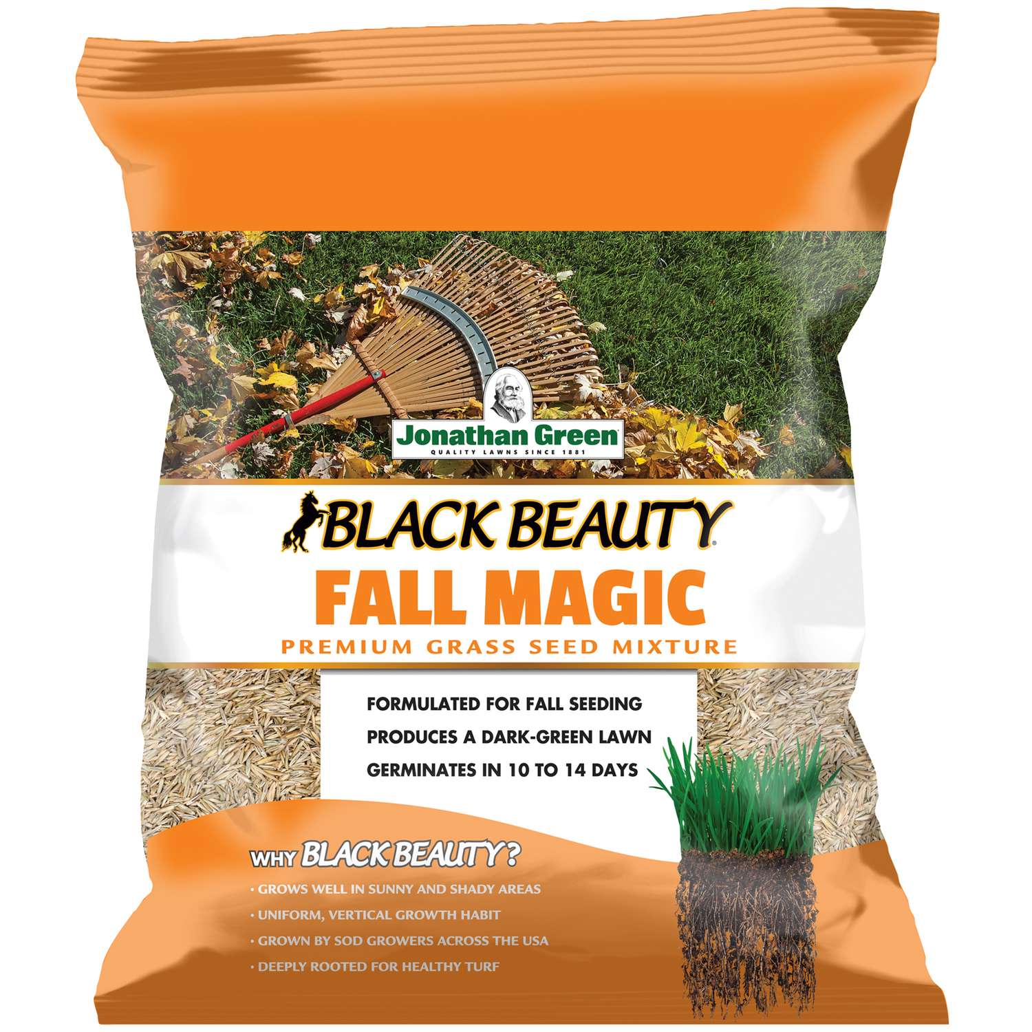 Jonathan Green Black Beauty Fall Magic Mixed Sun/Partial Shade Grass