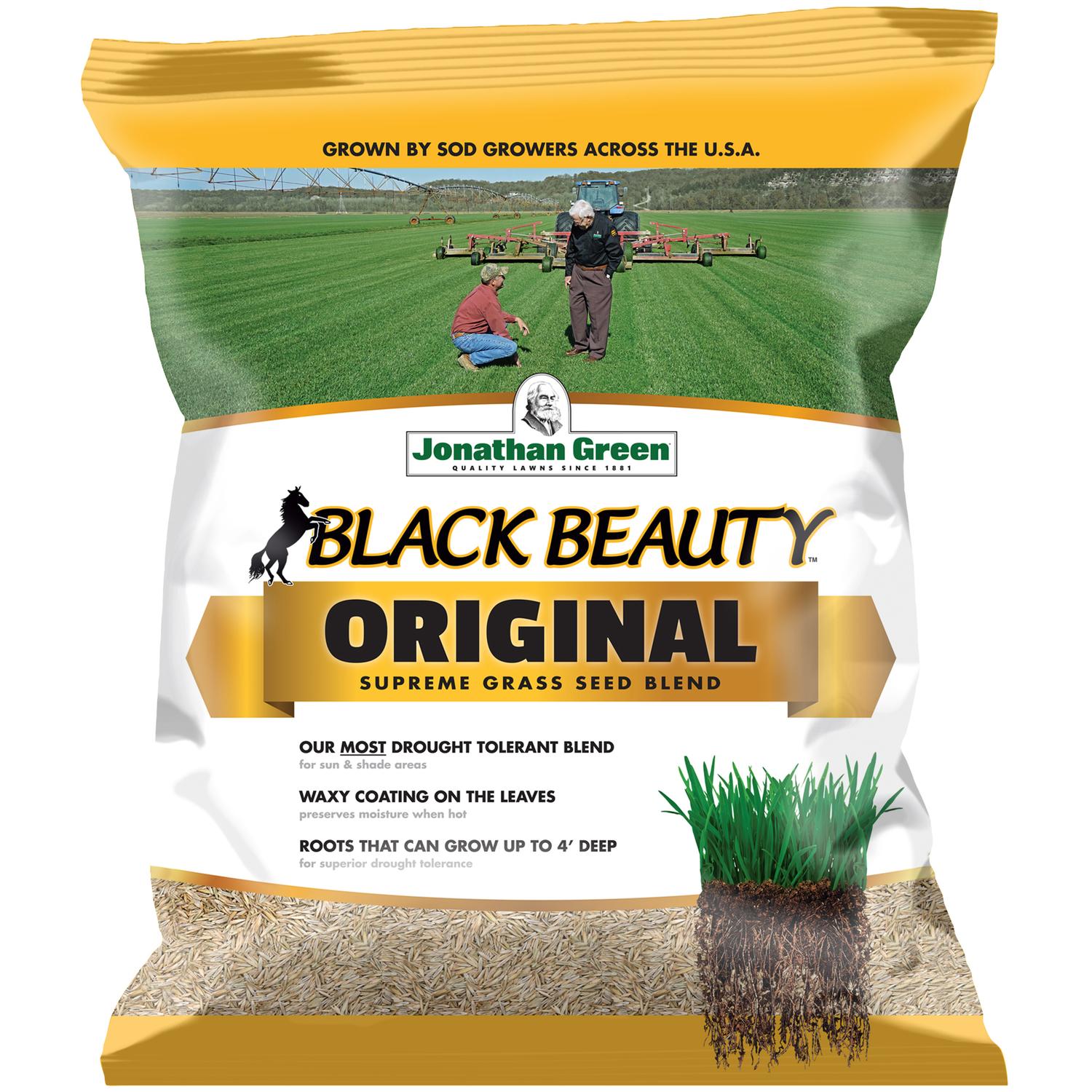 Jonathan Green Black Beauty Original Tall Fescue Sun/Partial Shade ...